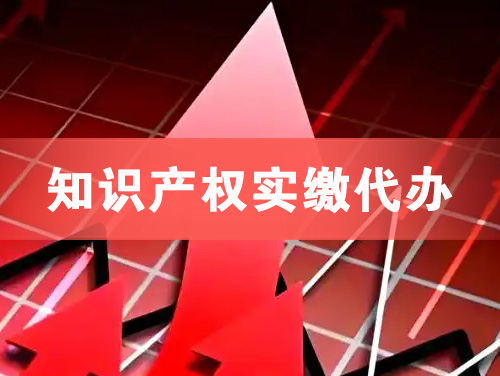 项城知识产权实缴资本代办